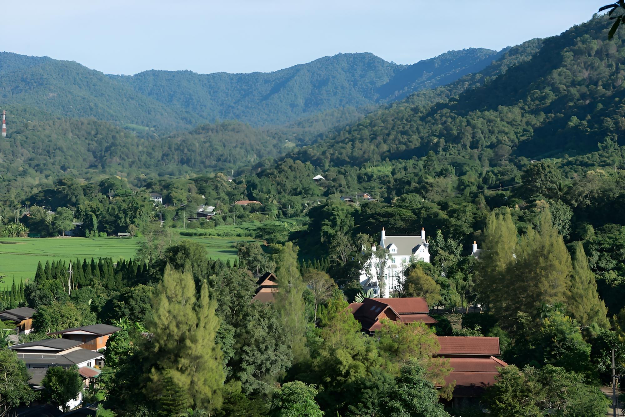 Hillsborough The English Country House