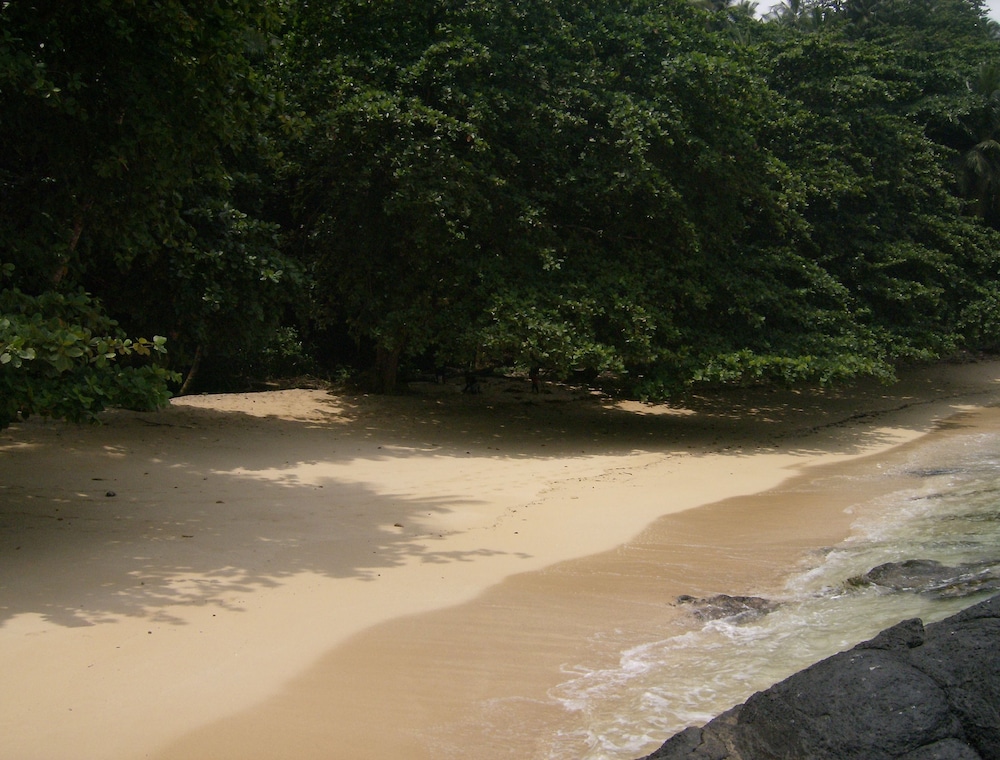 Photo 41