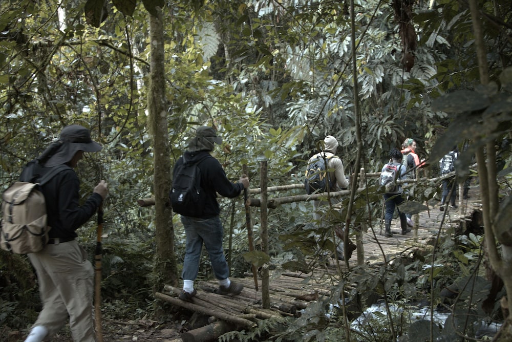 Kasenyi Safari Camp