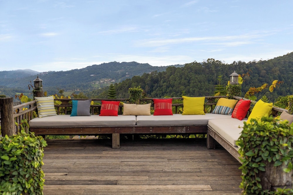 Outdoor Space