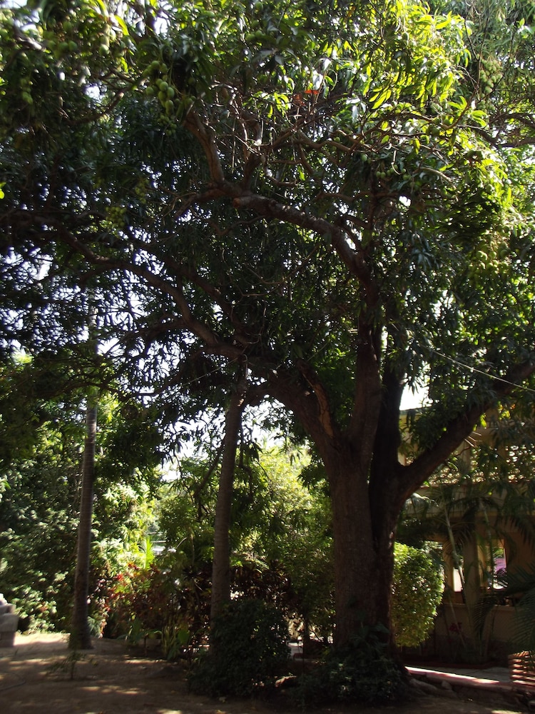 Photo 10