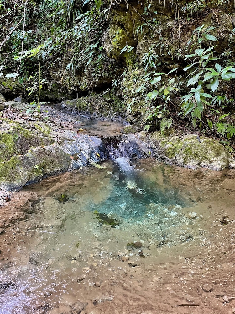 Finca Pie de Luna