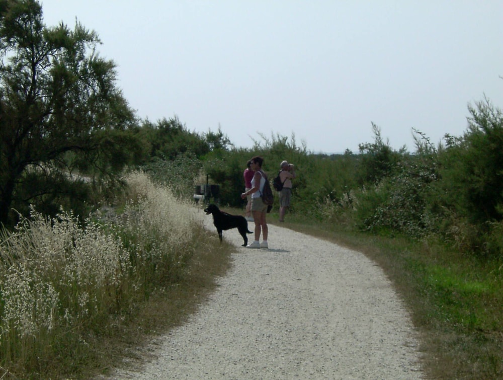 Photo 36