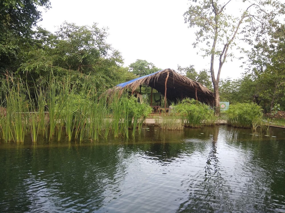 Dudhsagar Plantation