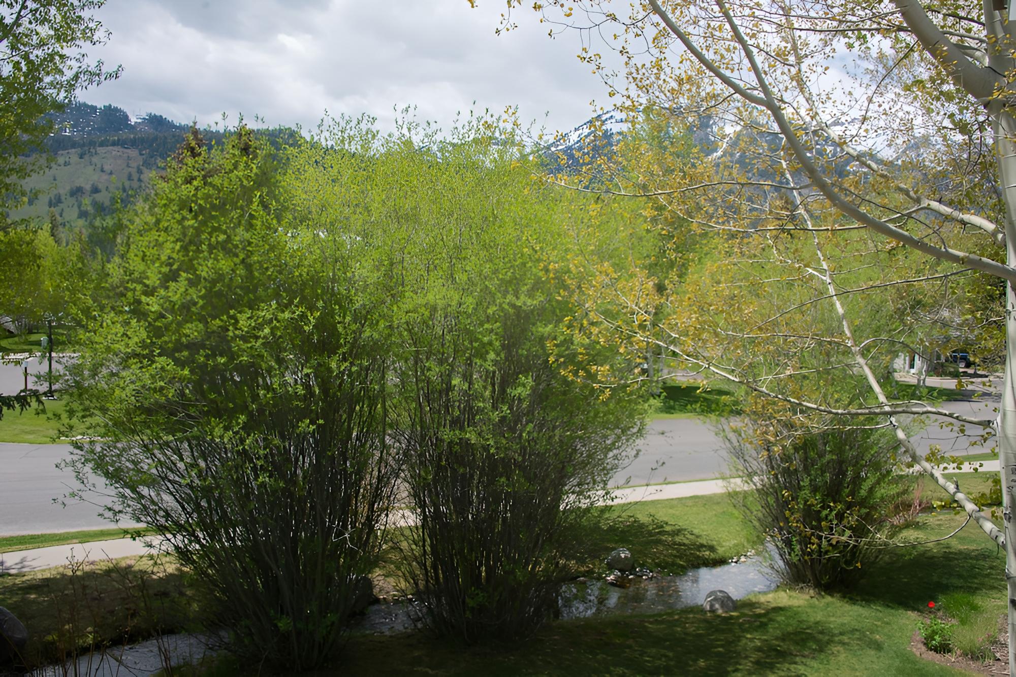 Teton Pines Townhome Collection by JHRL