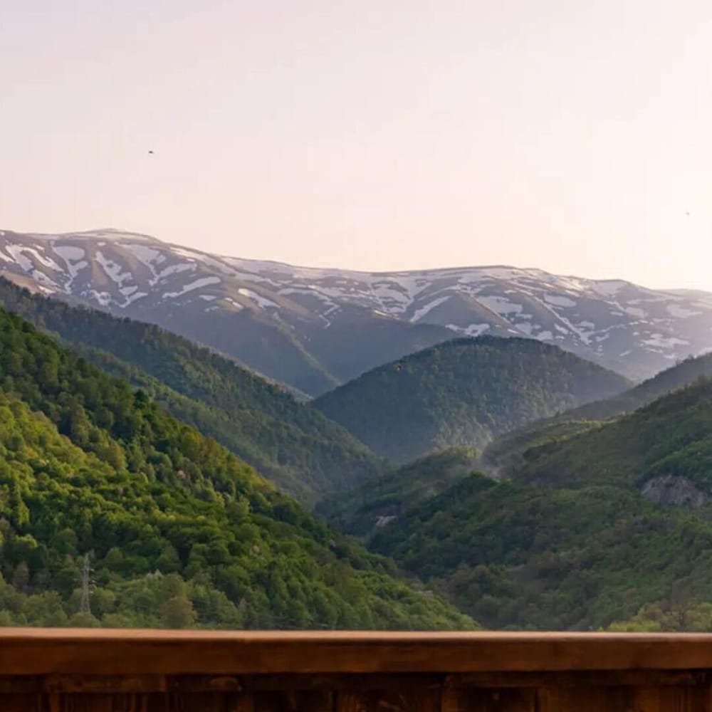 Motives Inn Dilijan