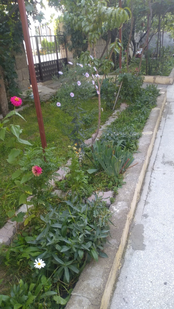 Photo 31