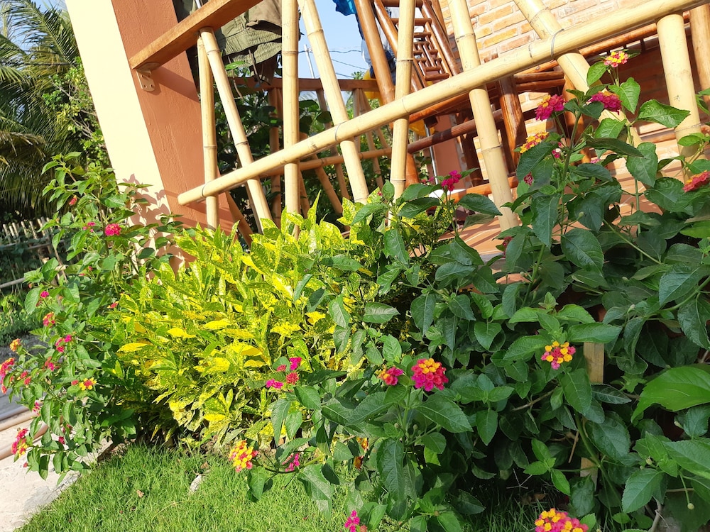 Photo 43