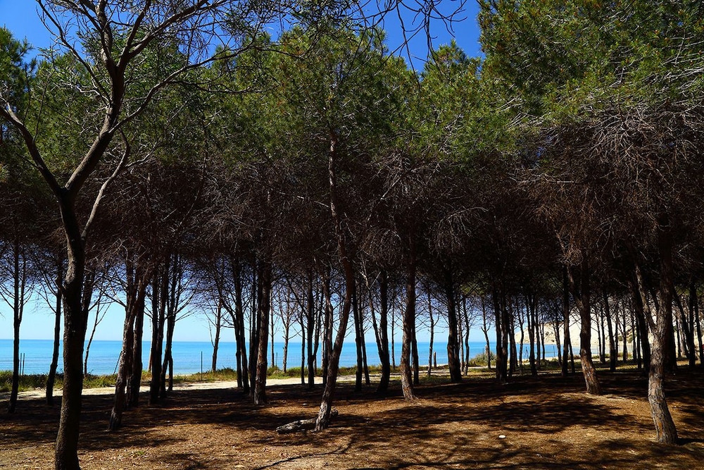 Eraclea Minoa Village