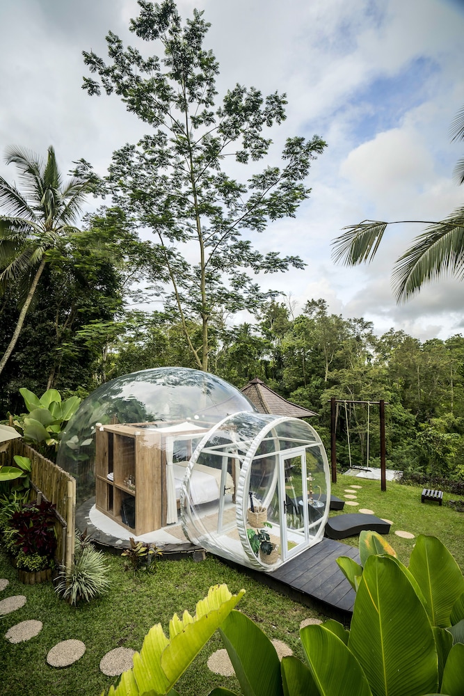 Hotel Bubble Hotel Bali Ubud - Glamping - Image 1