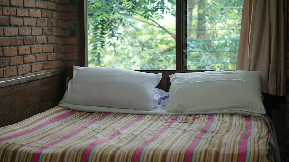 The Pinewood Lodge & Organic Farm