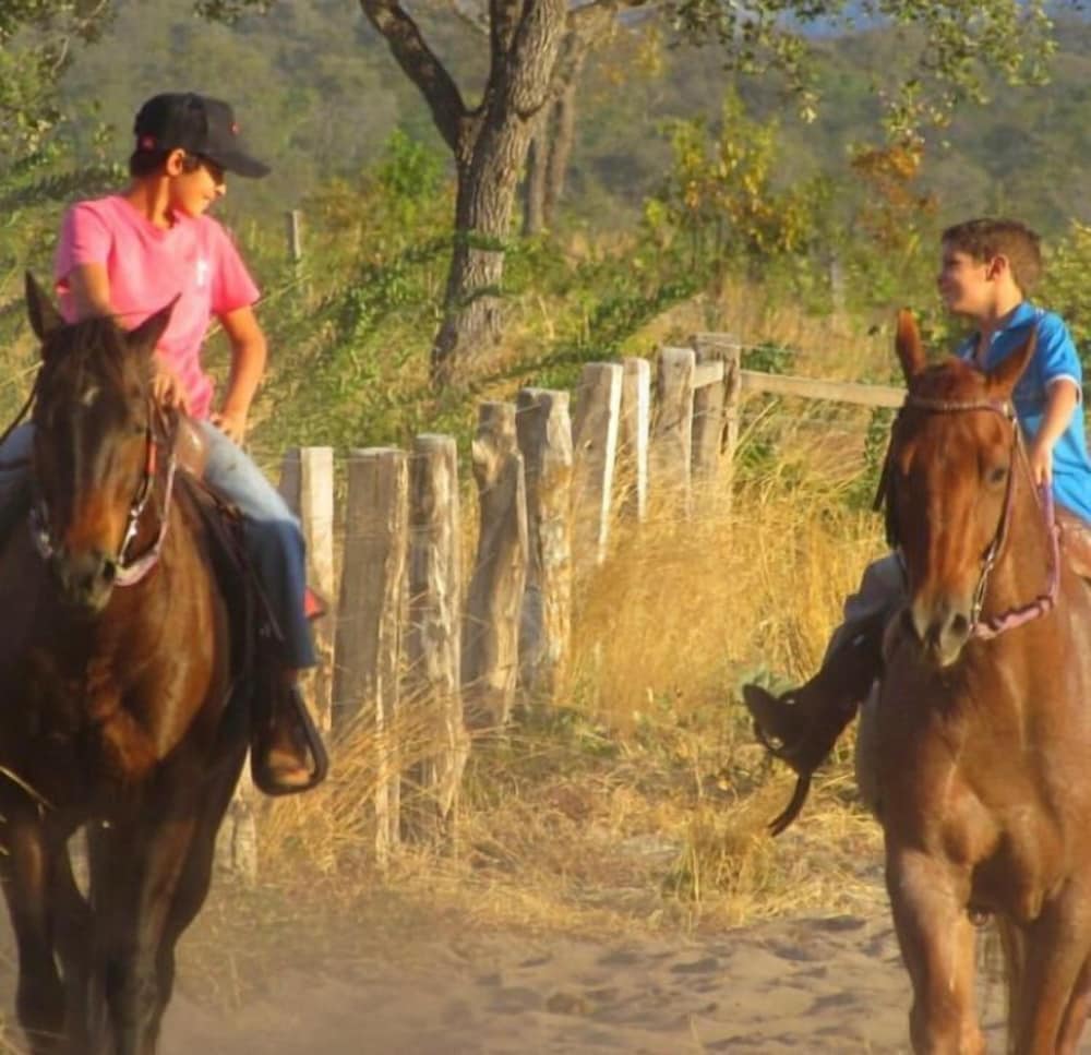 Fazenda Serra Negra - Terra Ronca
