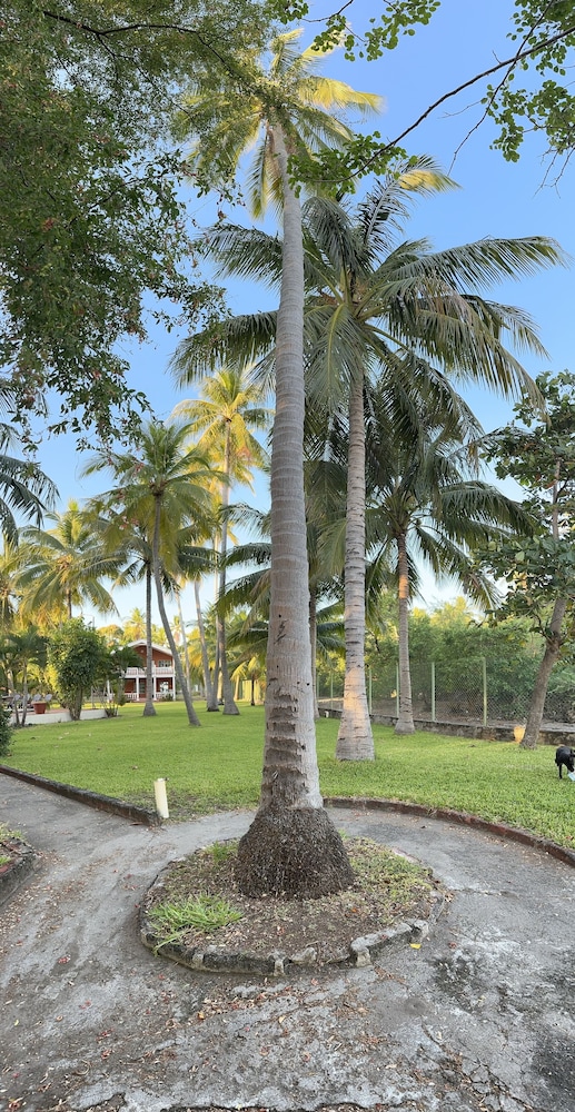 Photo 41
