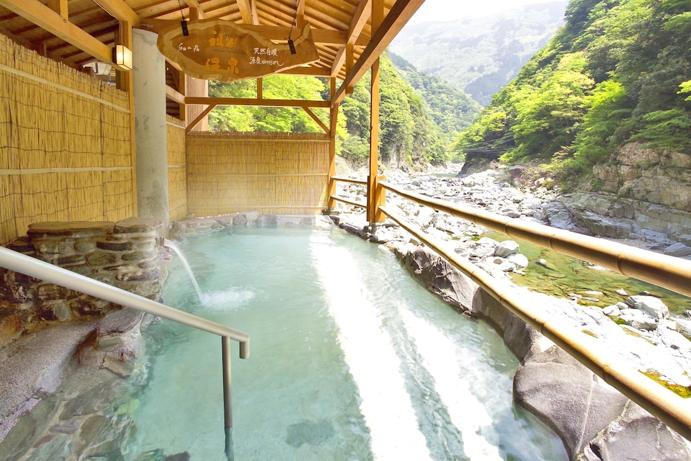 Hotel Iyaonsen