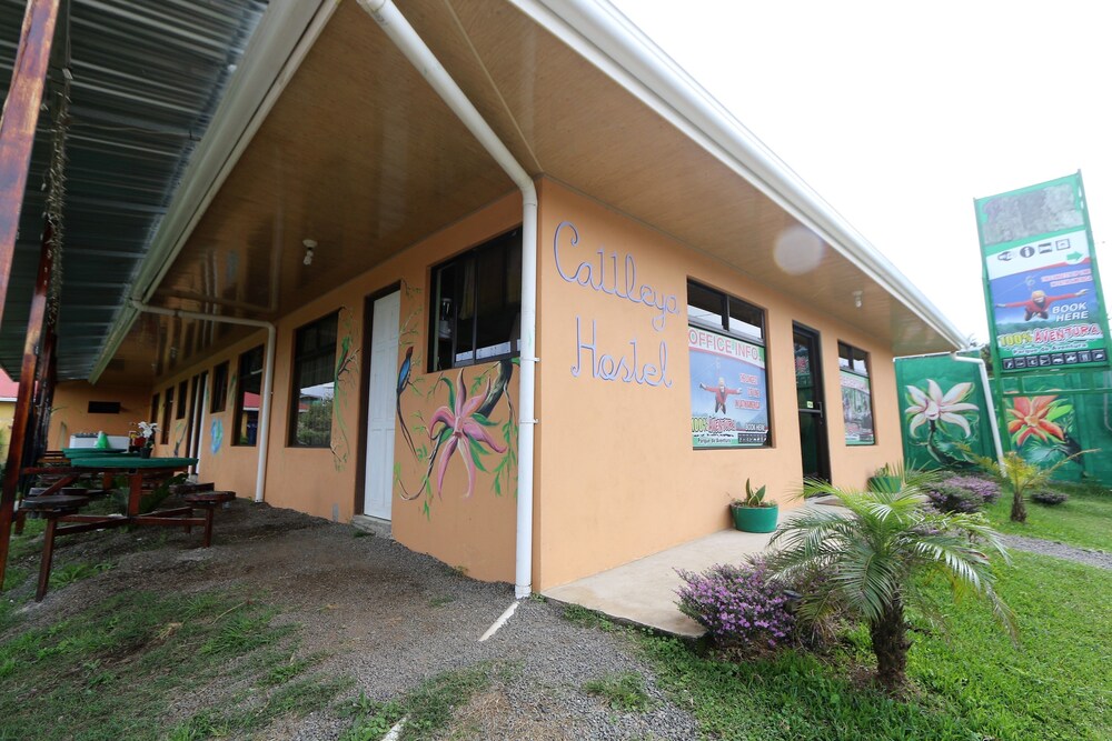 Hostel Cattleya