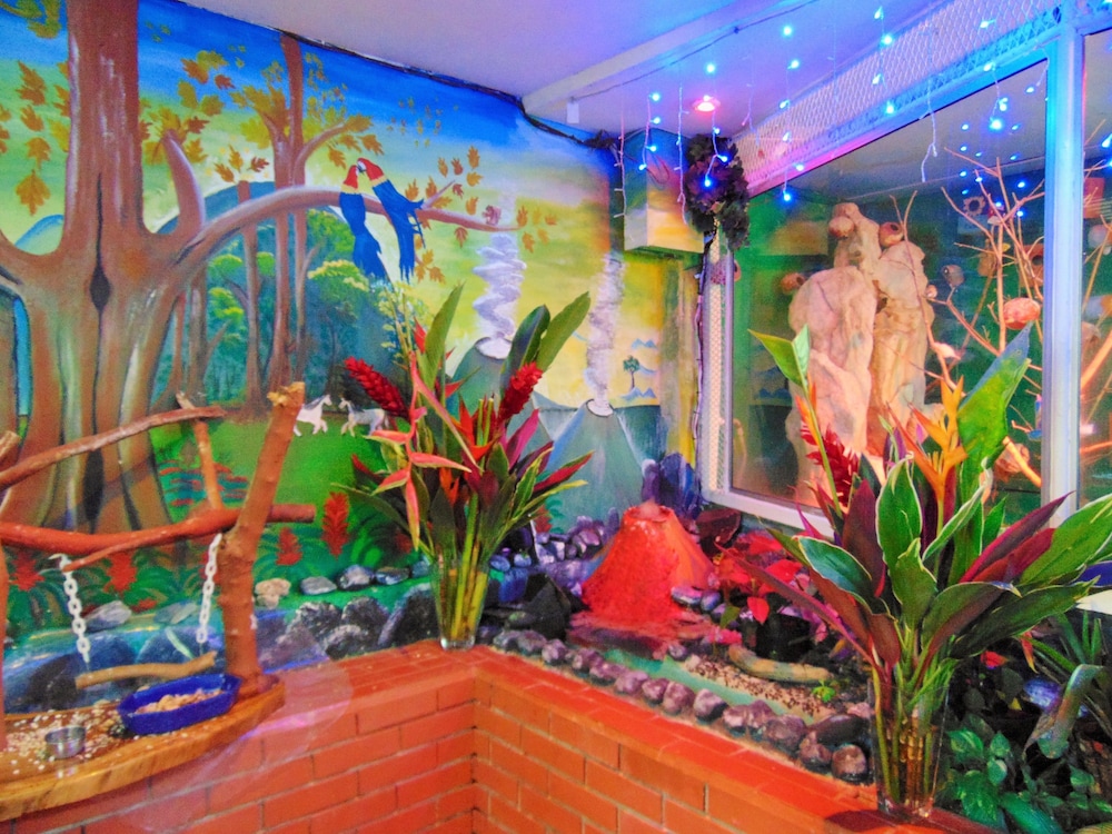 Casa Lima Bed Breakfast - Property Image 34