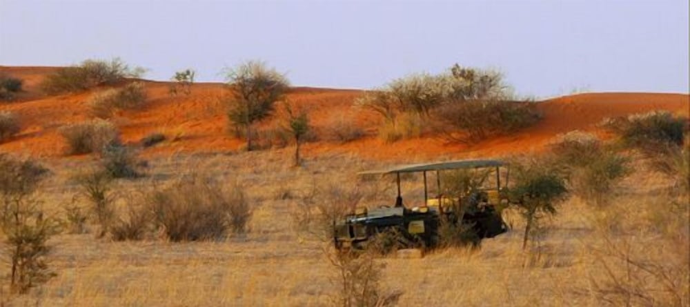 Suricate Tented Lodge