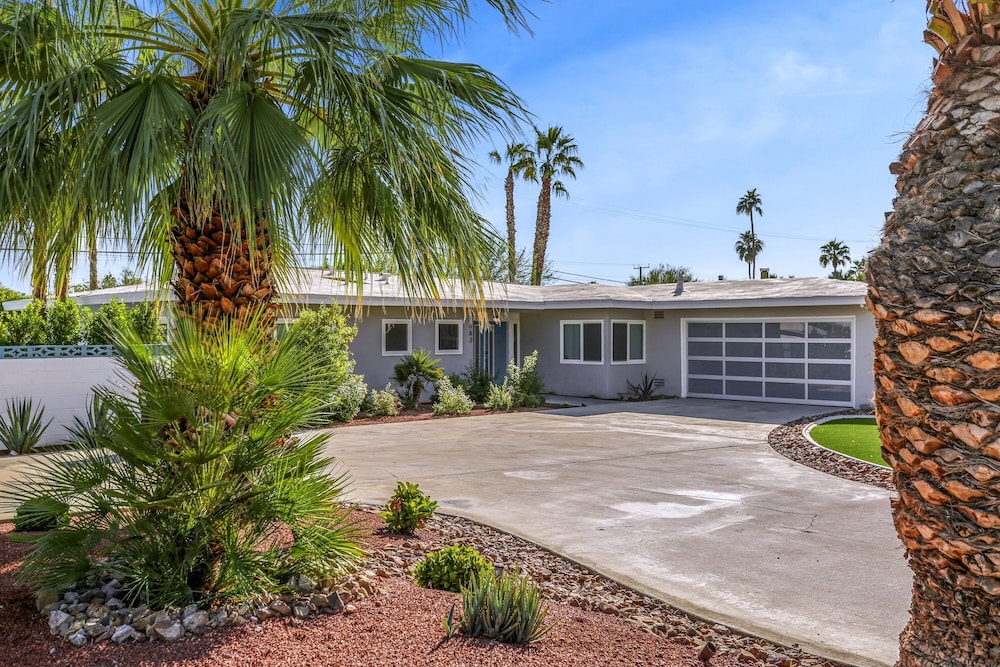 Desert Flamingo PS
