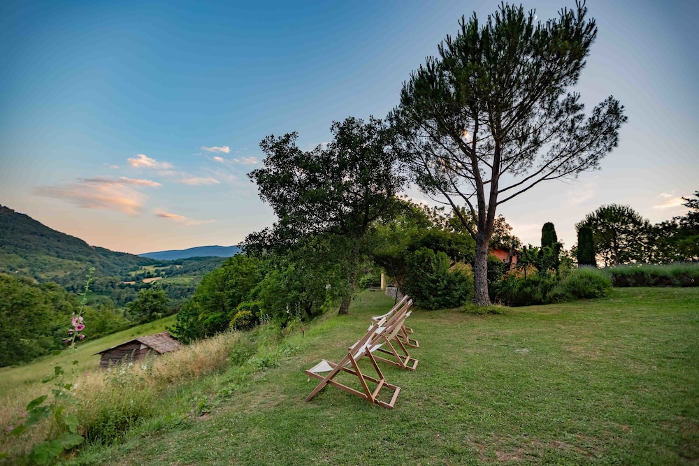 Photo 35