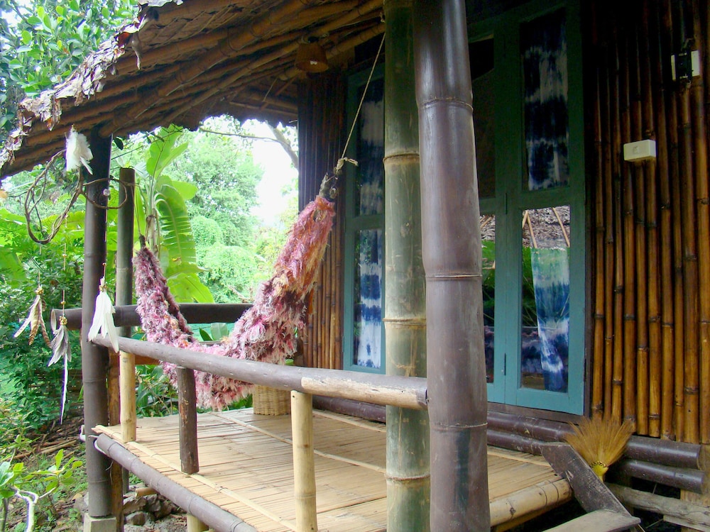 Re - Wild House
