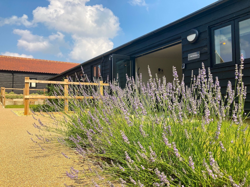 Photo 55