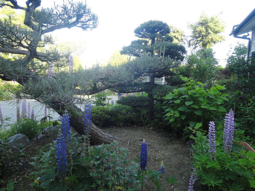 Guest House Yamanouchi
