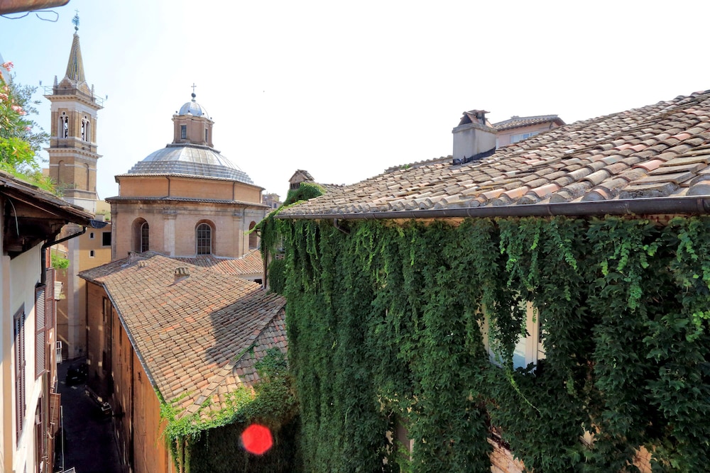 Volpe — Rome