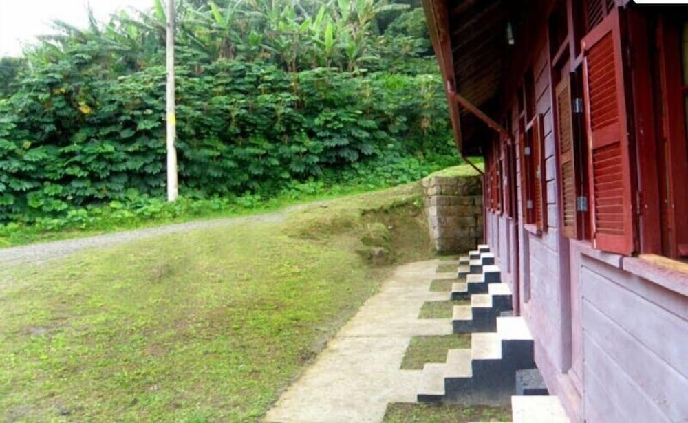 Photo 37