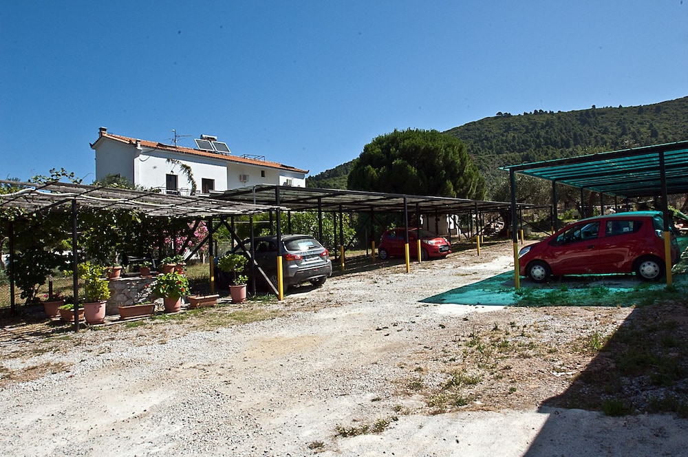 Photo 43