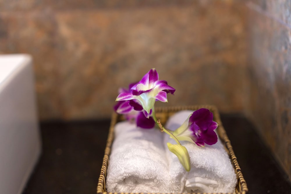 CIC Hoi An Villa