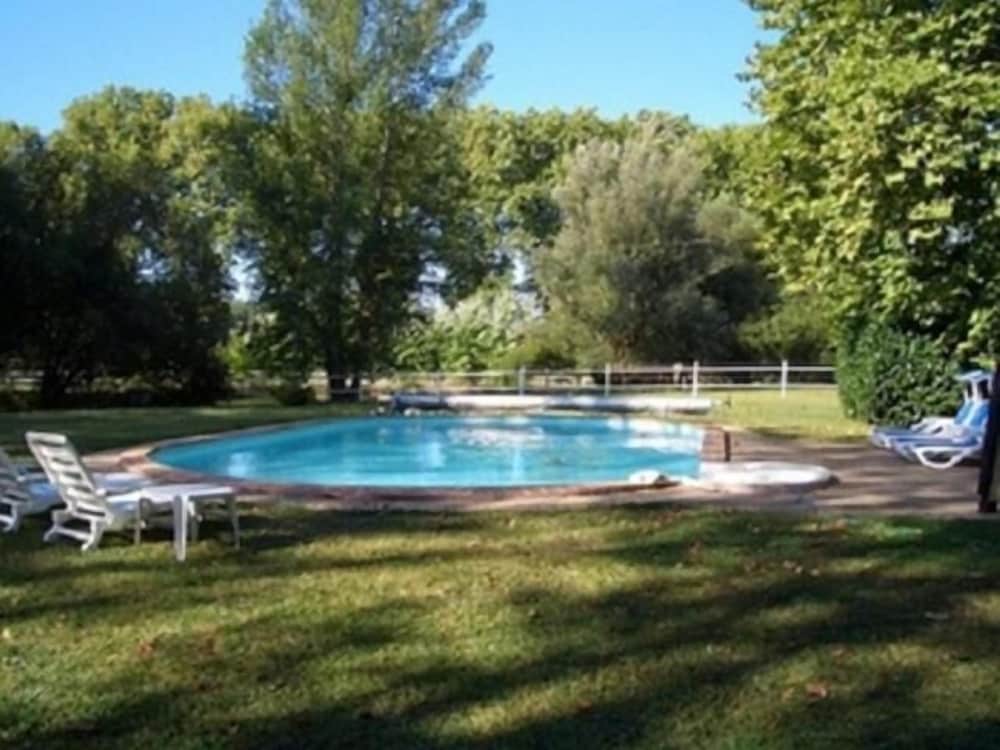 Le Platane