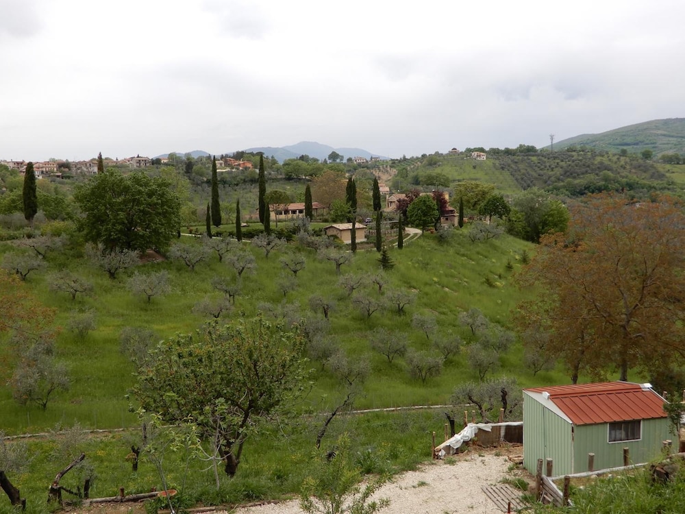Photo 48