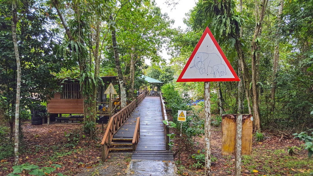 Borneo Nature Lodge photo 2