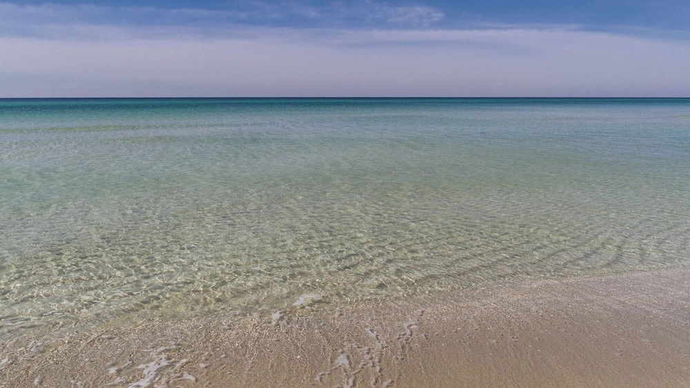 Beachfront Charm Meets Lake Life + Free Tickets: Dolphin Cruise & More!