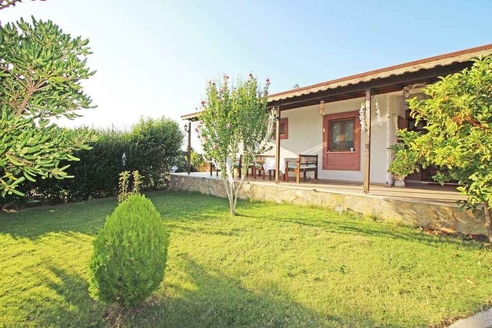 Karina Vineyard Evi - Image 17