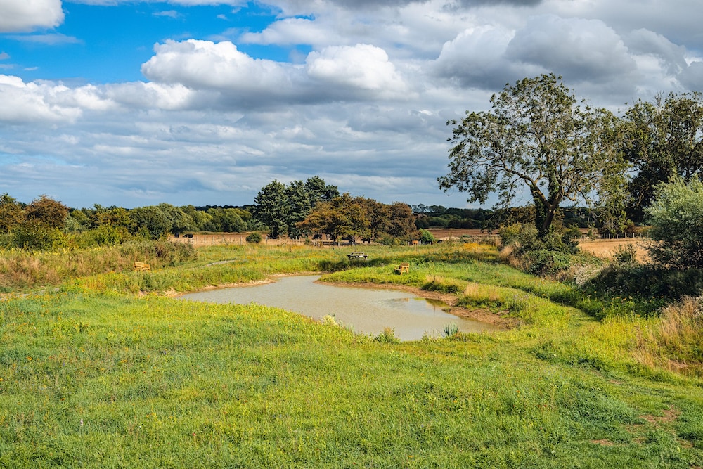 Andrus - Mayflower Meadow