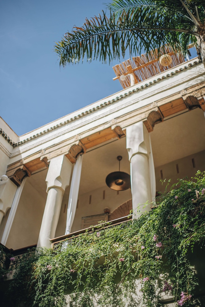 Nobu Riad