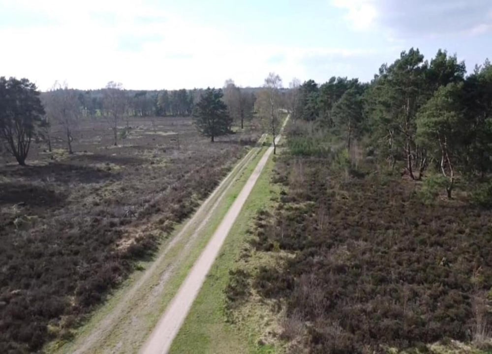 Romantic Loft w/ Garden Terrace
