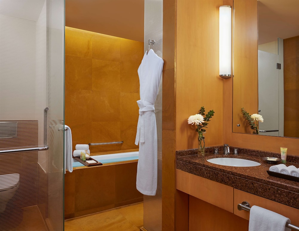 Mumbai Vacations - Grand Hyatt Mumbai Hotel and Serviced Apartments - Property Image 56