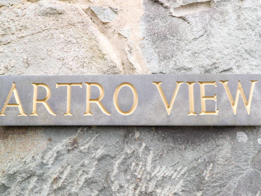 Artro View view 2