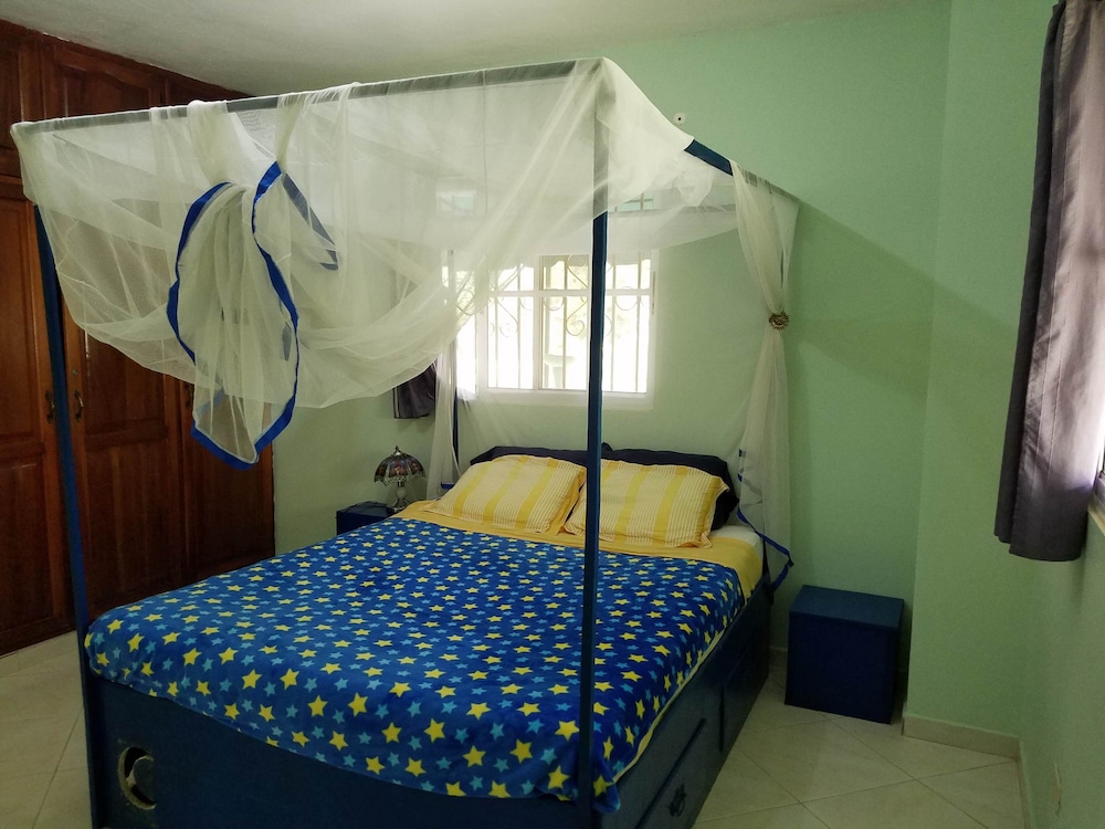 Blue Lady Rooms B&B view 5