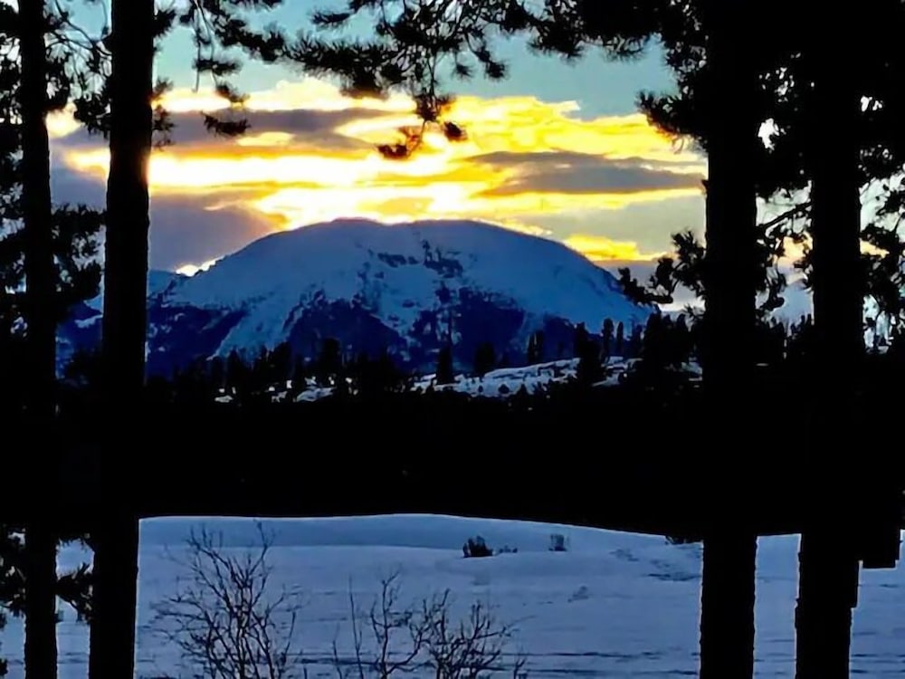 1-Bedroom plus Loft at The Pines with Forest Views, No Cleaning Fees, Kids Ski Free 1 Condo