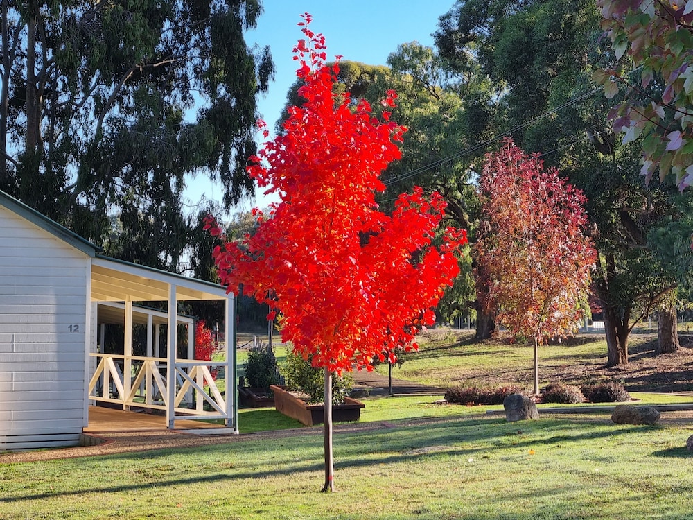 Golden Heritage Cottages
