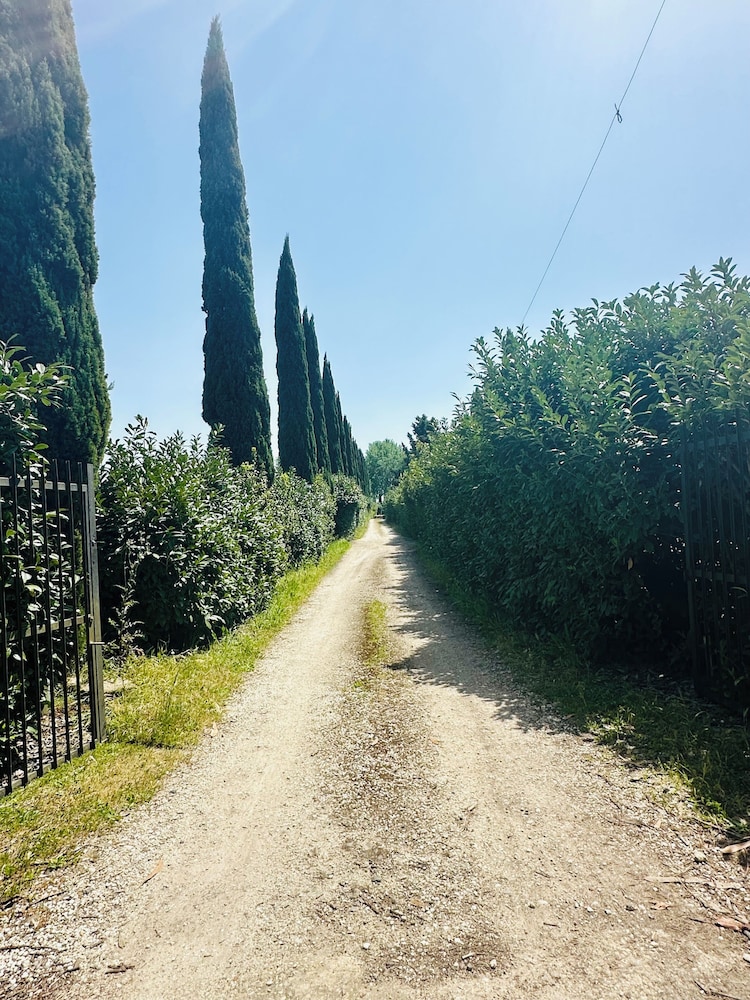 Room in Guest Room - B&B Love - Country House, Room Rent- Roma