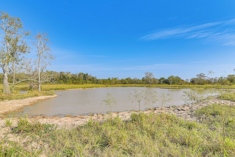 Farm Animals On-site: Needville Ranch Getaway!