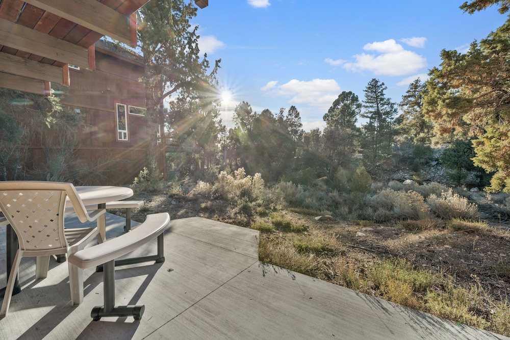 Forest Edge Retreat