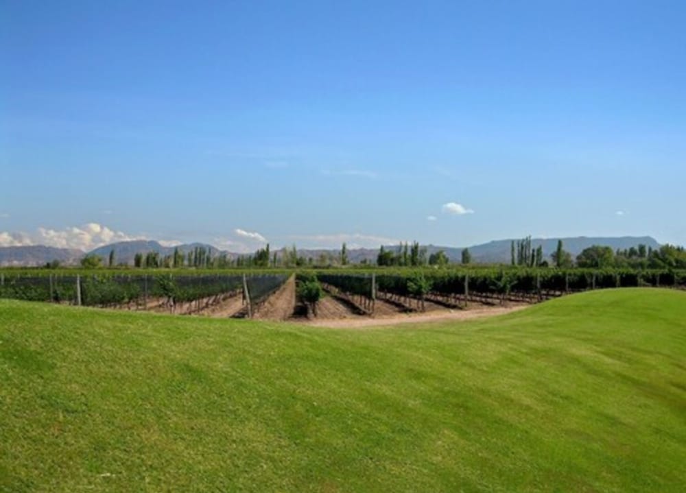 Algodon Wine Estates and Champions Club