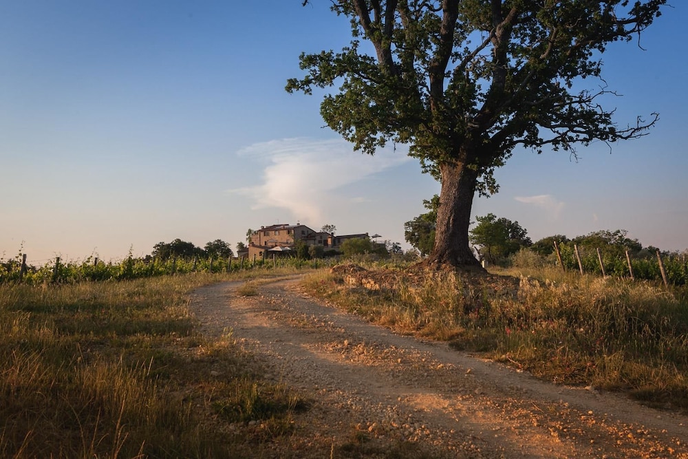 Agriturismo Castello di Bucignano