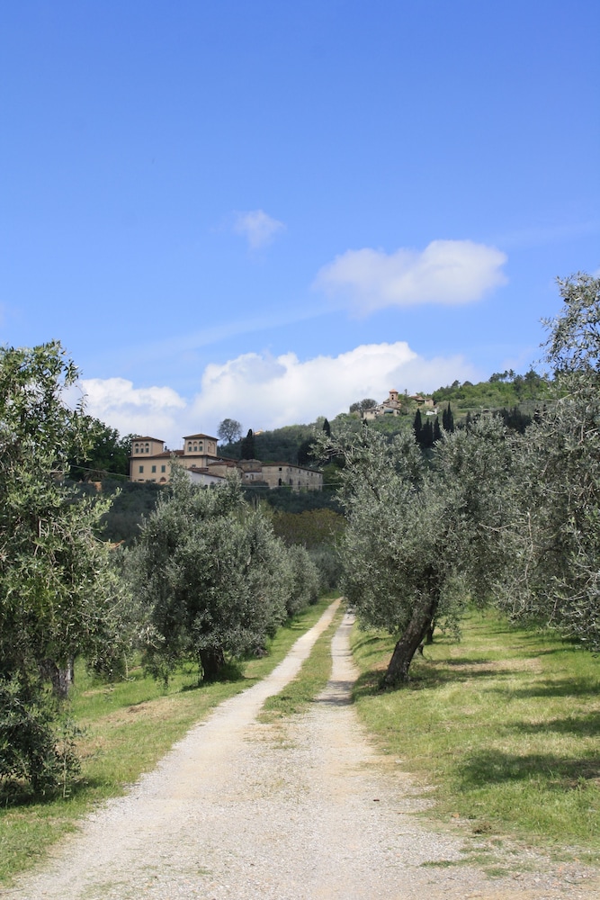 Photo 41