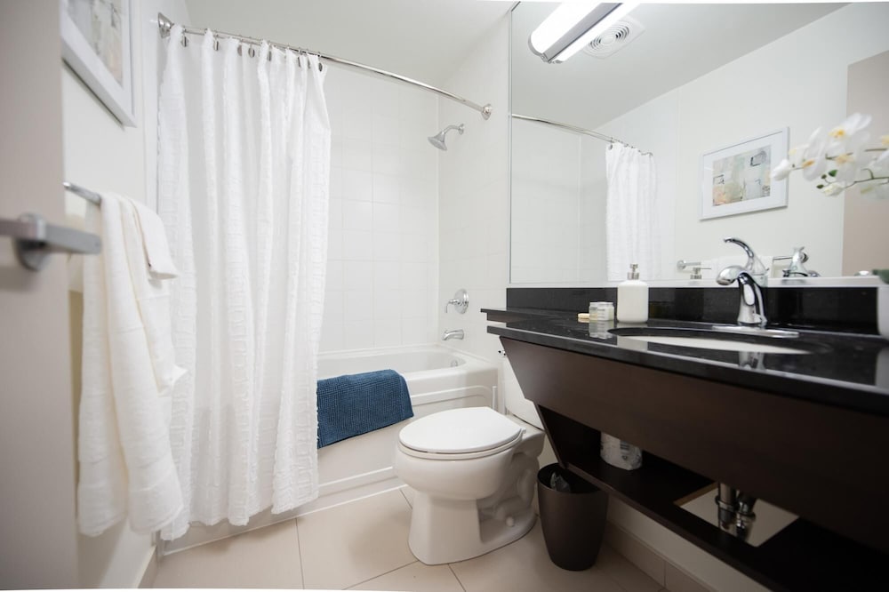 Luxury Downtown One Bedroom Suite view 2